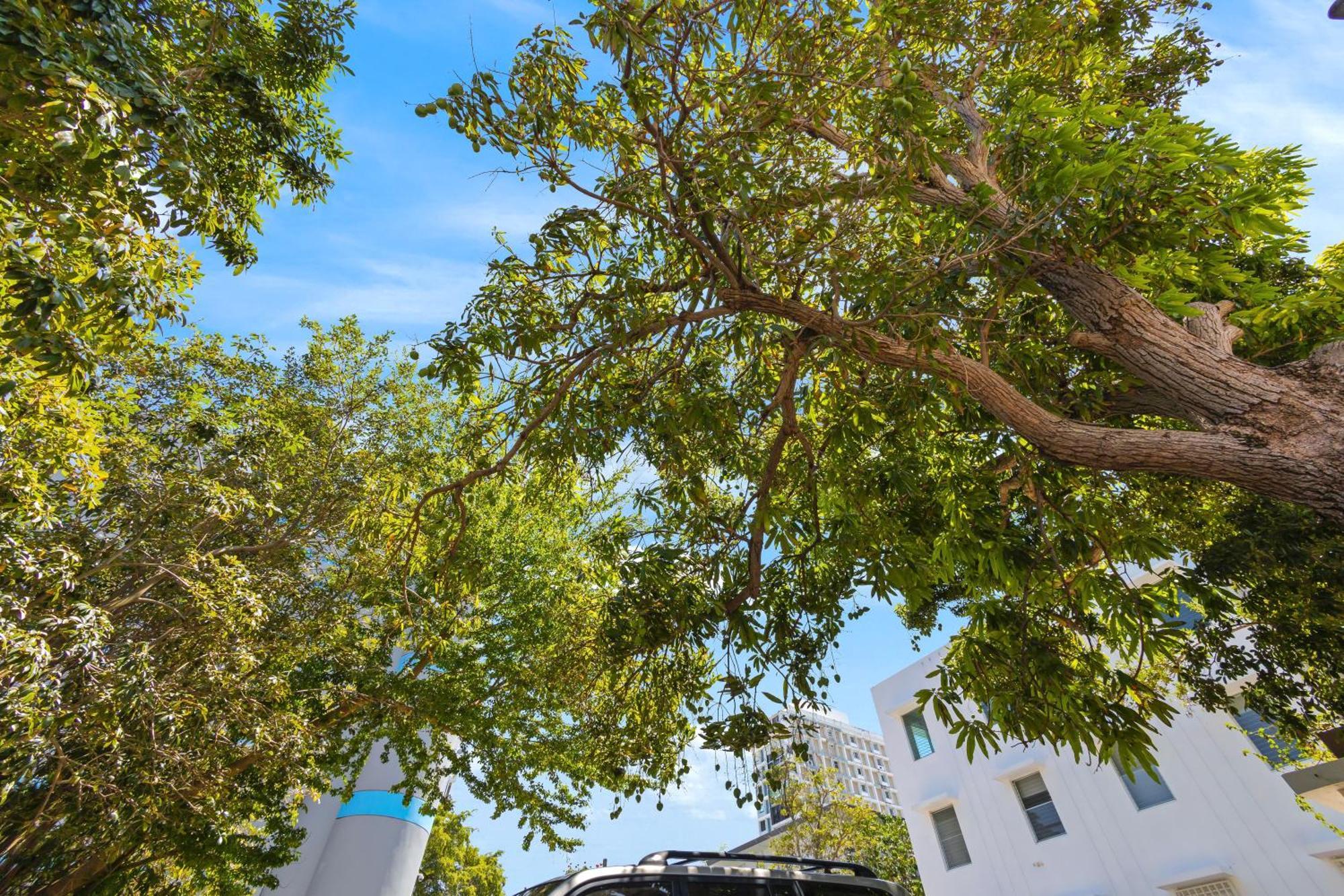 Apartmán Hidden Gem In Miramar- Power Generator- Parking San Juan Exteriér fotografie