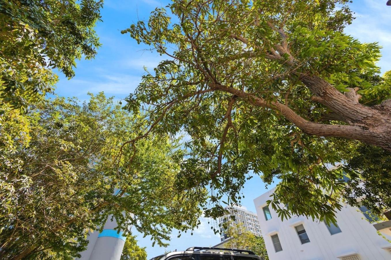Apartmán Hidden Gem In Miramar- Power Generator- Parking San Juan Exteriér fotografie